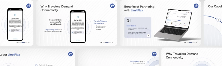 Individual Slide Redesign